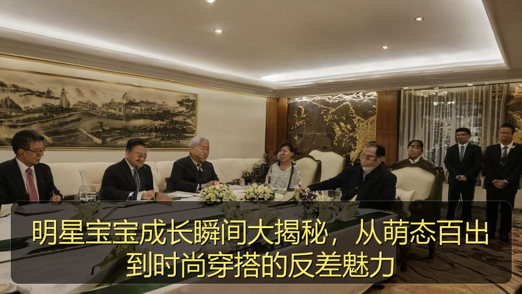 明星宝宝成长瞬间大揭秘，从萌态百出到时尚穿搭的反差魅力