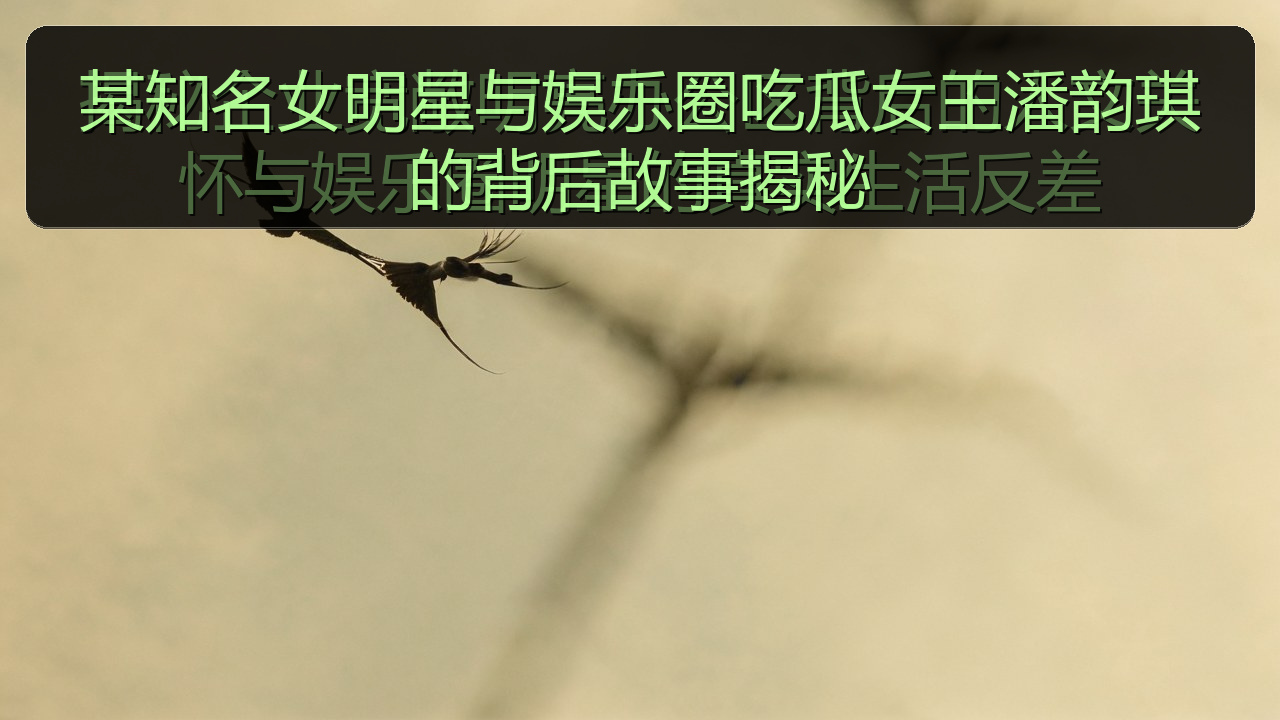 某知名女明星与娱乐圈吃瓜女王潘韵琪的背后故事揭秘